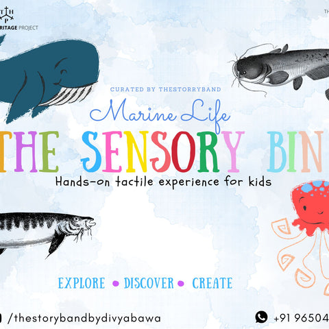The Sensory Bin - Marine Life