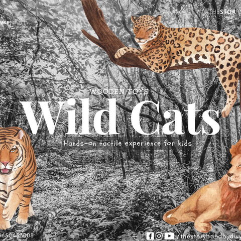 Wild Cats