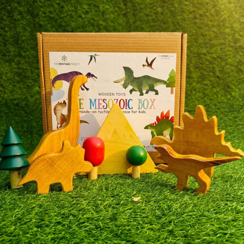 The Mesozoic Box